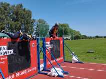 IMG-20250714-WA0018