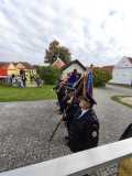 IMG-20251115-WA0029