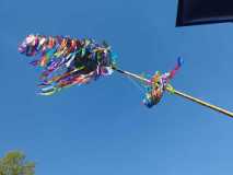 IMG-20250516-WA0000