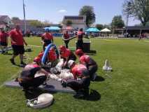 IMG-20260602-WA0011