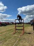 IMG-20260526-WA0015