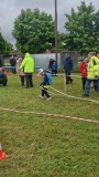 IMG-20250518-WA0009