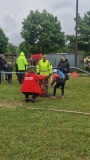 IMG-20250518-WA0051