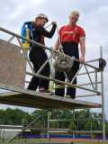 IMG-20250519-WA0007