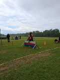 IMG-20250519-WA0031 IMG-20250519-WA0031
