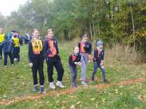IMG-20251104-WA0030